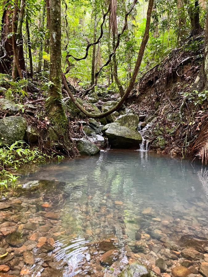 Mist At Cape Tribulationヴィラ エクステリア 写真