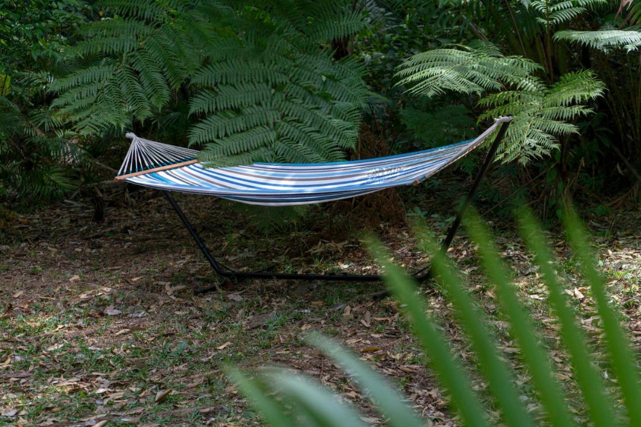 Mist At Cape Tribulationヴィラ エクステリア 写真